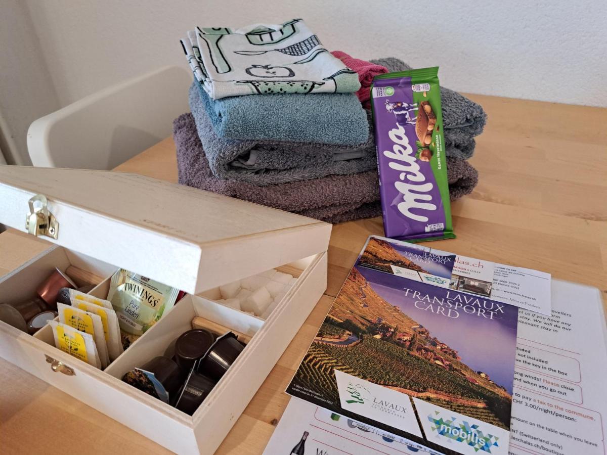 "Les Echalas" Appartement Independant Avec Cuisine En Lavaux Unesco شيرشبريس المظهر الخارجي الصورة